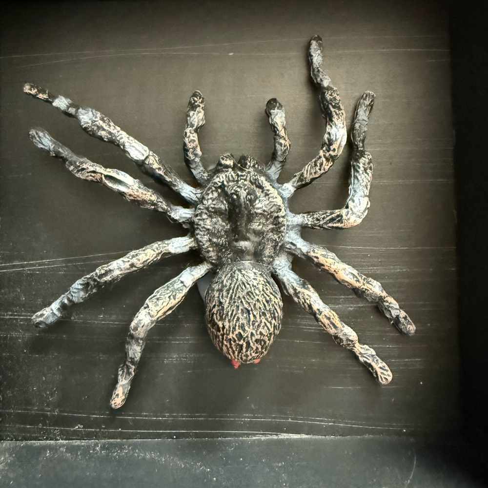 Insect Shadow Box - Picture 5 of 6